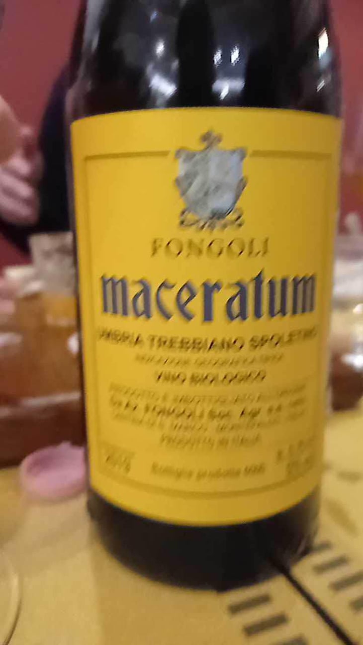 Maceratum - Fongoli - Angelo Fongoli 