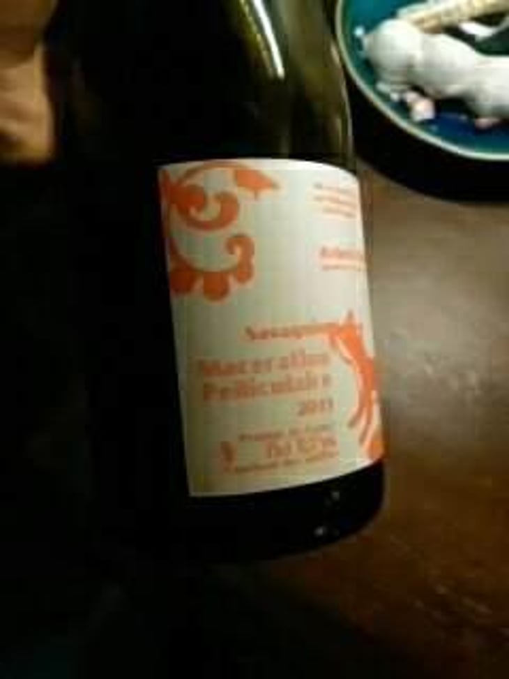 Maceration Pelliculaire - Domaine Bornard - Tony Bornard 