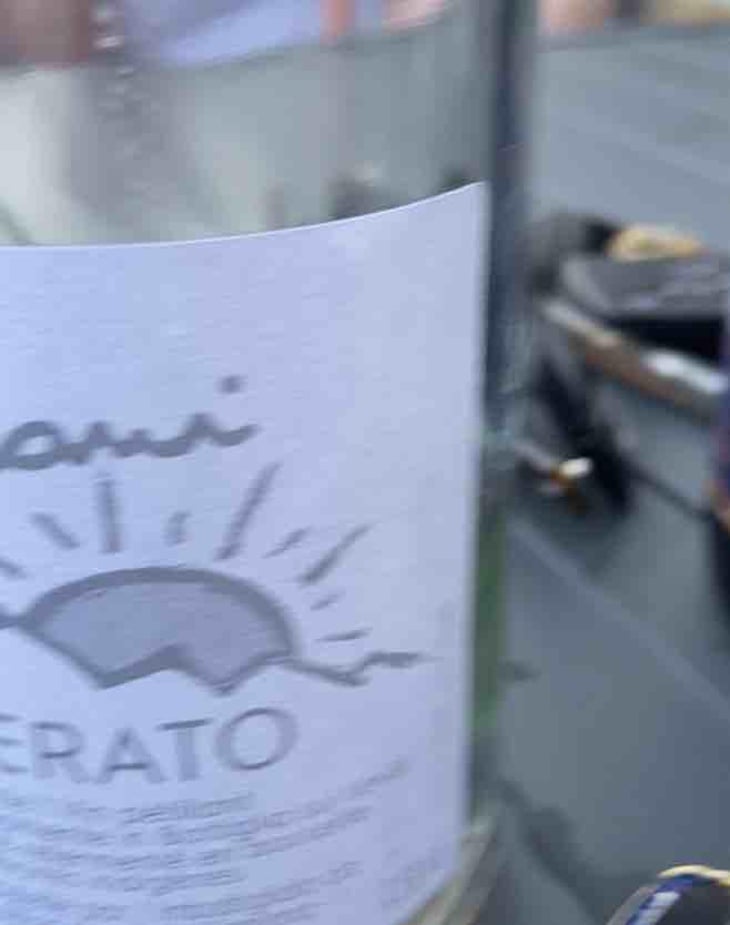 Macerato - Cantina Furlani - Matteo Furlani 