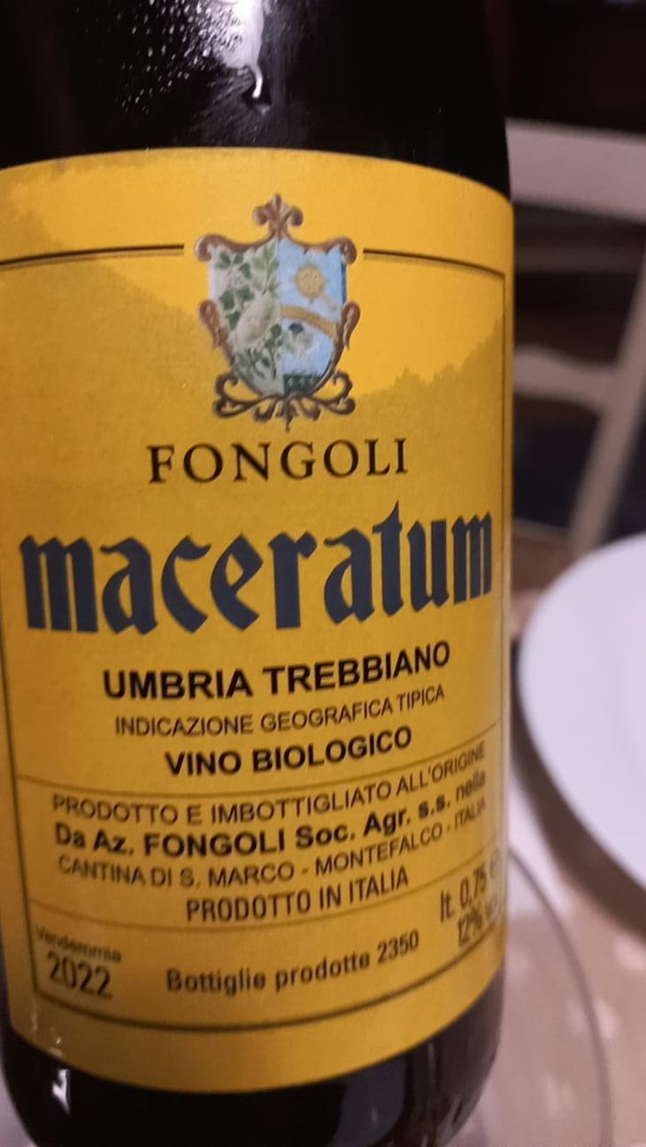 Maceratum - Fongoli - Angelo Fongoli 