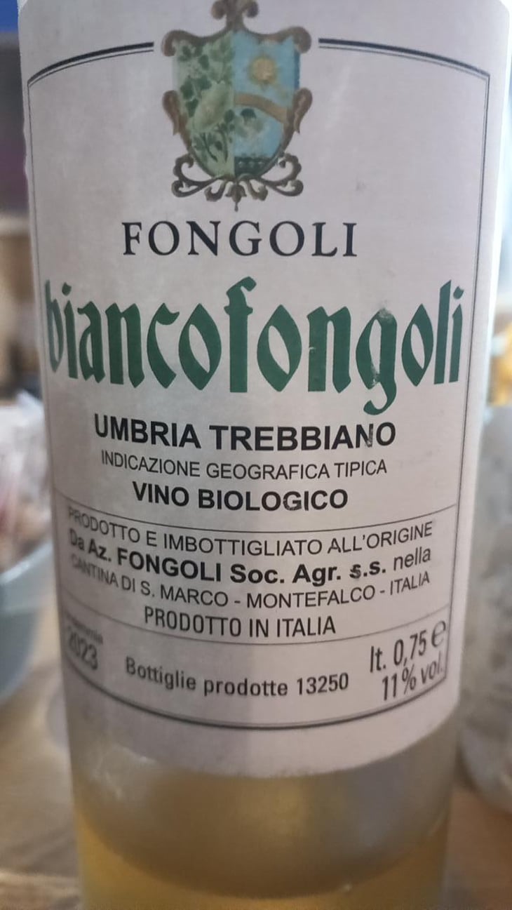 Biancofongoli - Fongoli - Angelo Fongoli 