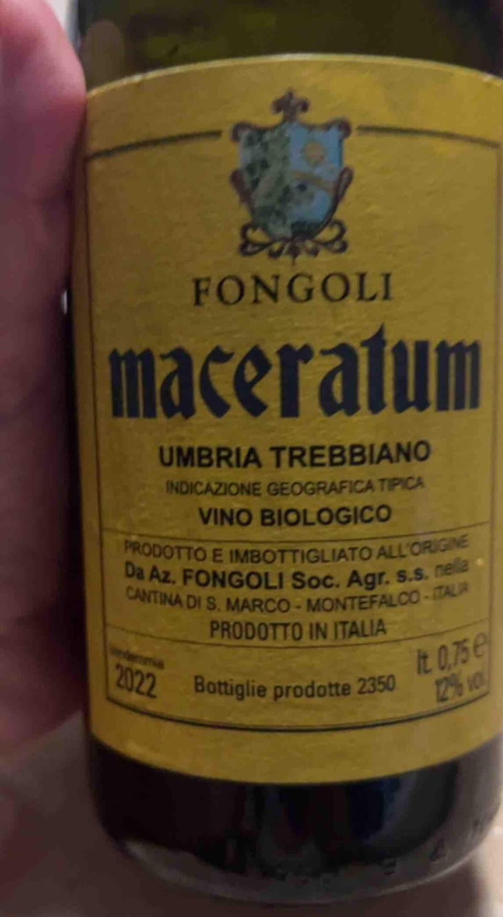 Maceratum - Fongoli - Angelo Fongoli 