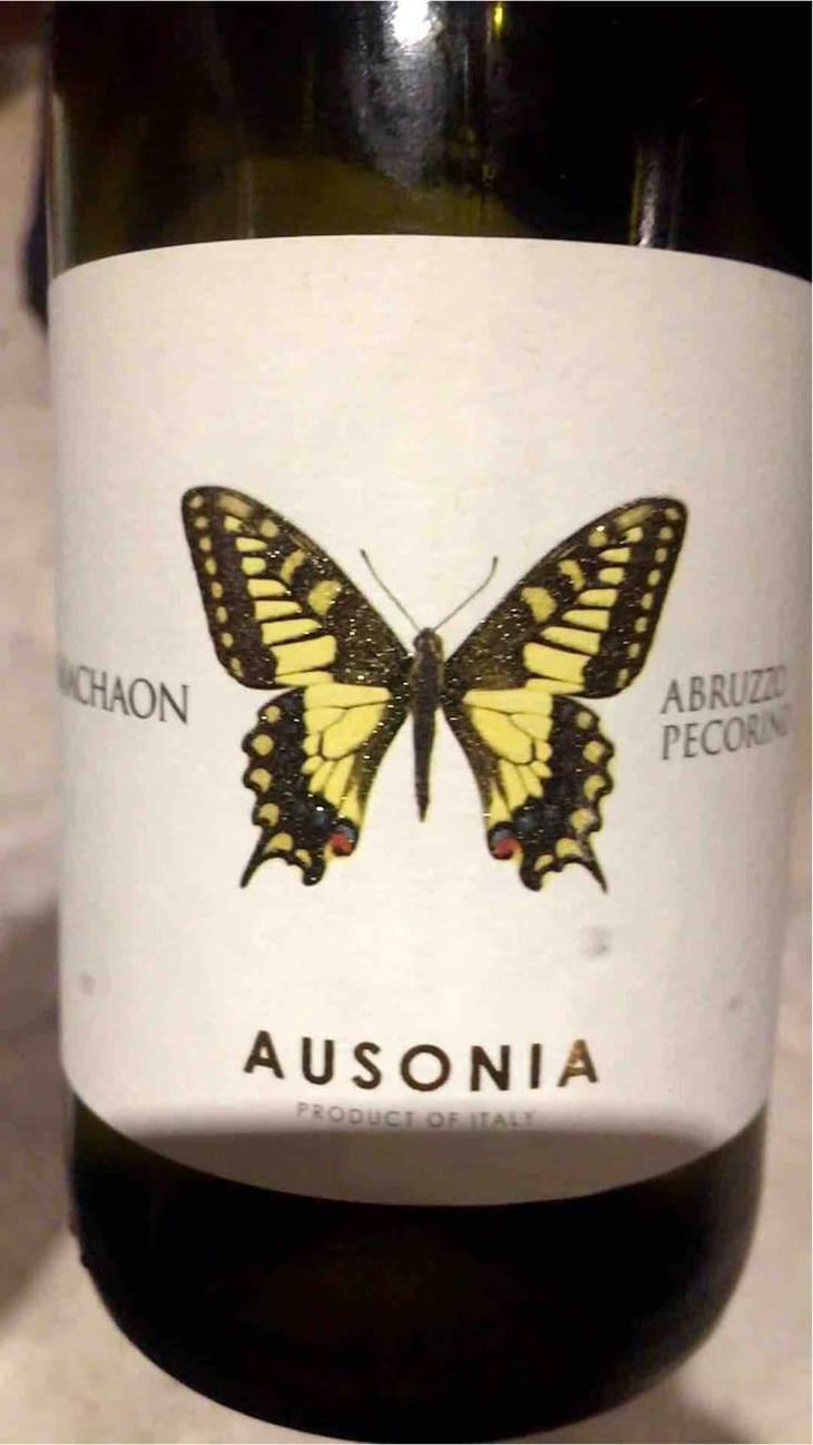 Machaon - Ausonia - Simone Binelli 