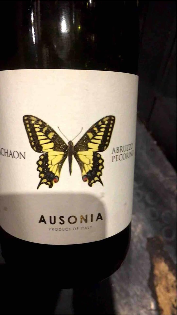 Machaon - Ausonia - Simone Binelli 