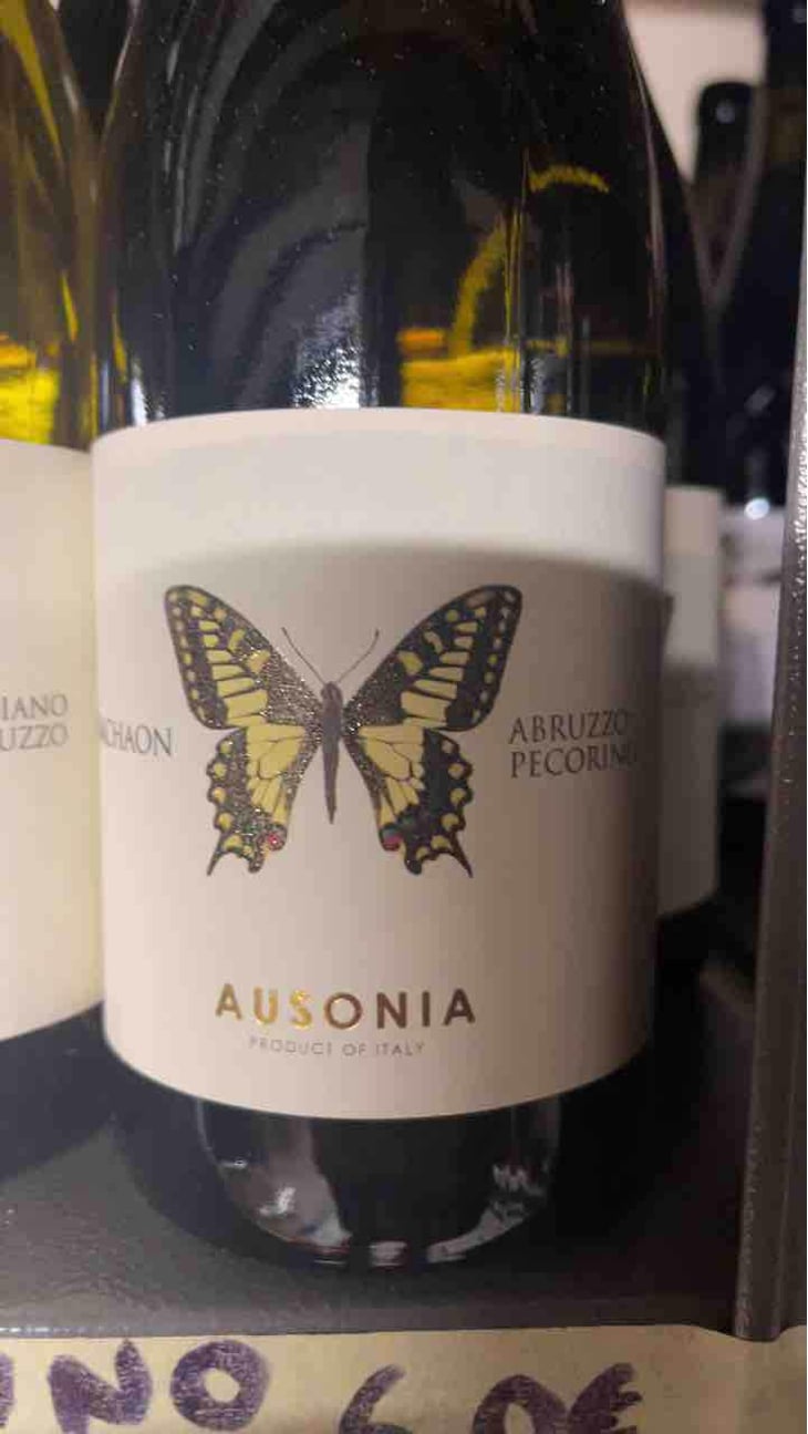 Machaon - Ausonia - Simone Binelli 