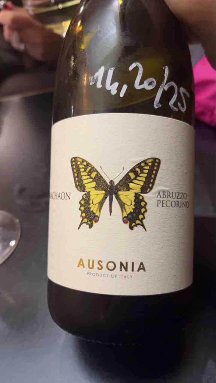 Machaon - Ausonia - Simone Binelli 