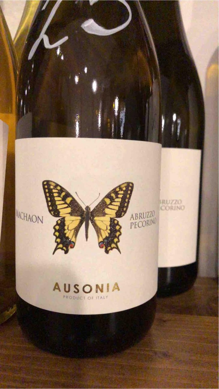 Machaon - Ausonia - Simone Binelli 