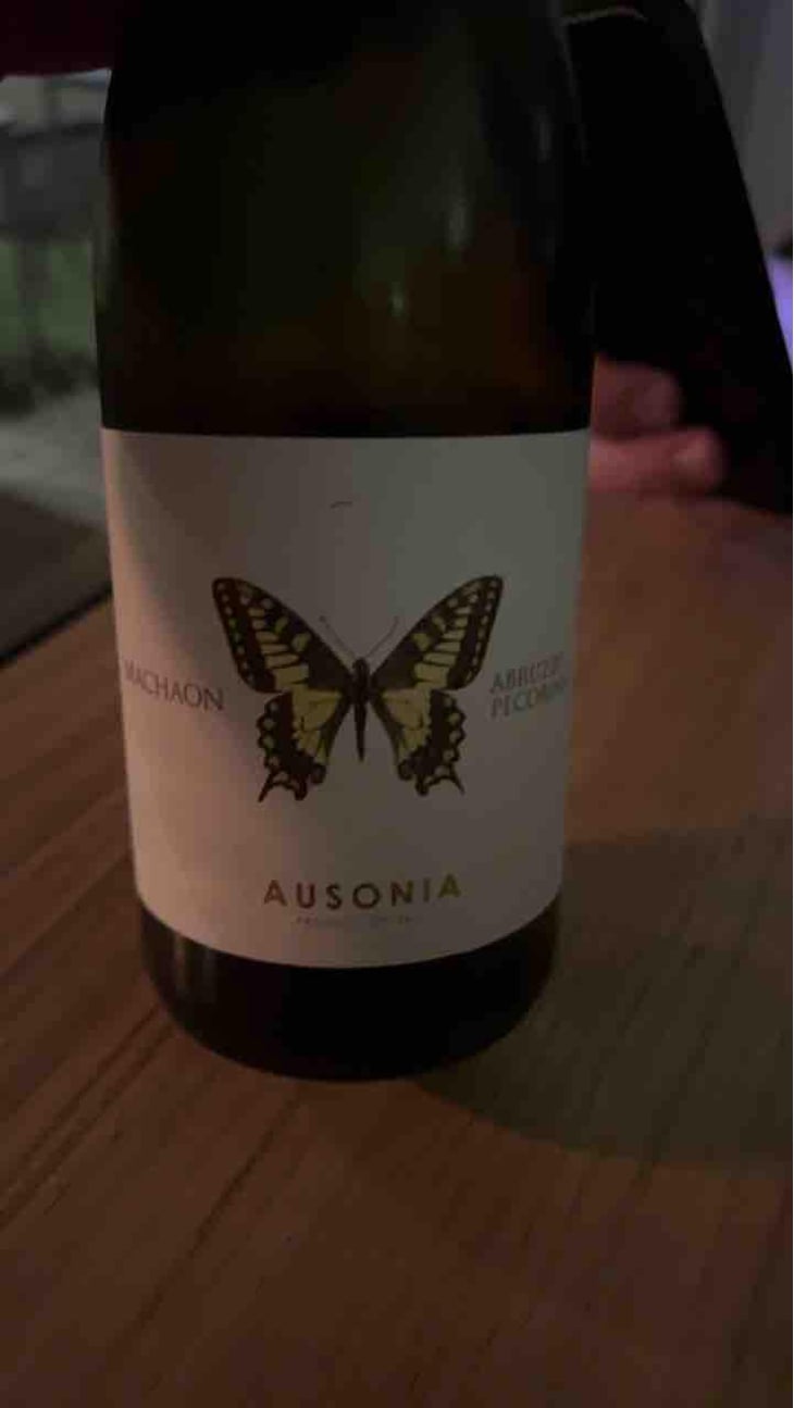 Machaon - Ausonia - Simone Binelli 