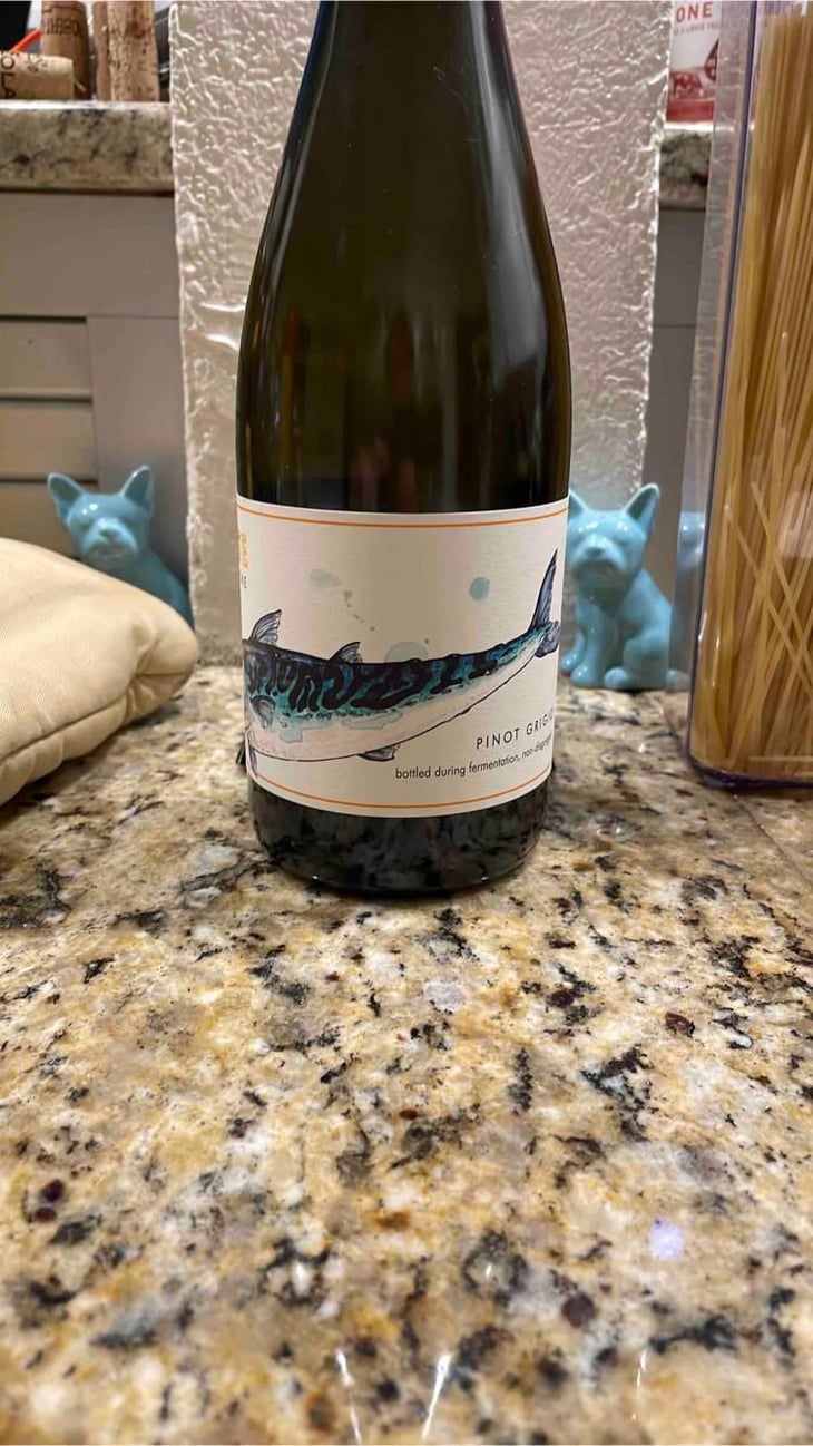Mackerel - Carboniste - Jacqueline and Dan Person -2021