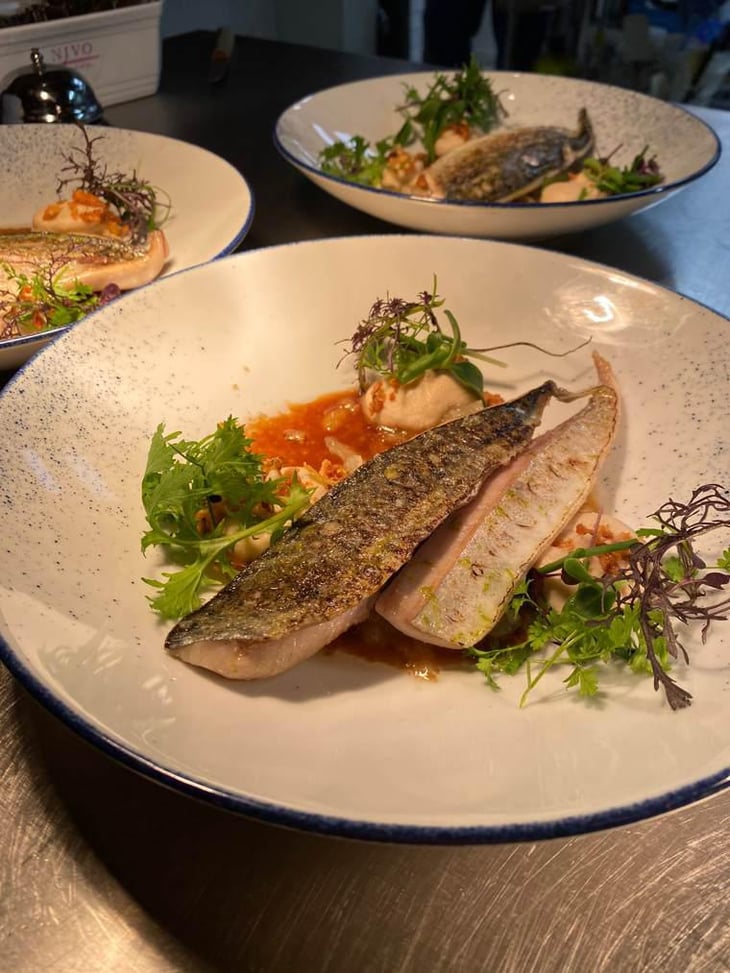 Mackerel - Glou Glou - 439757