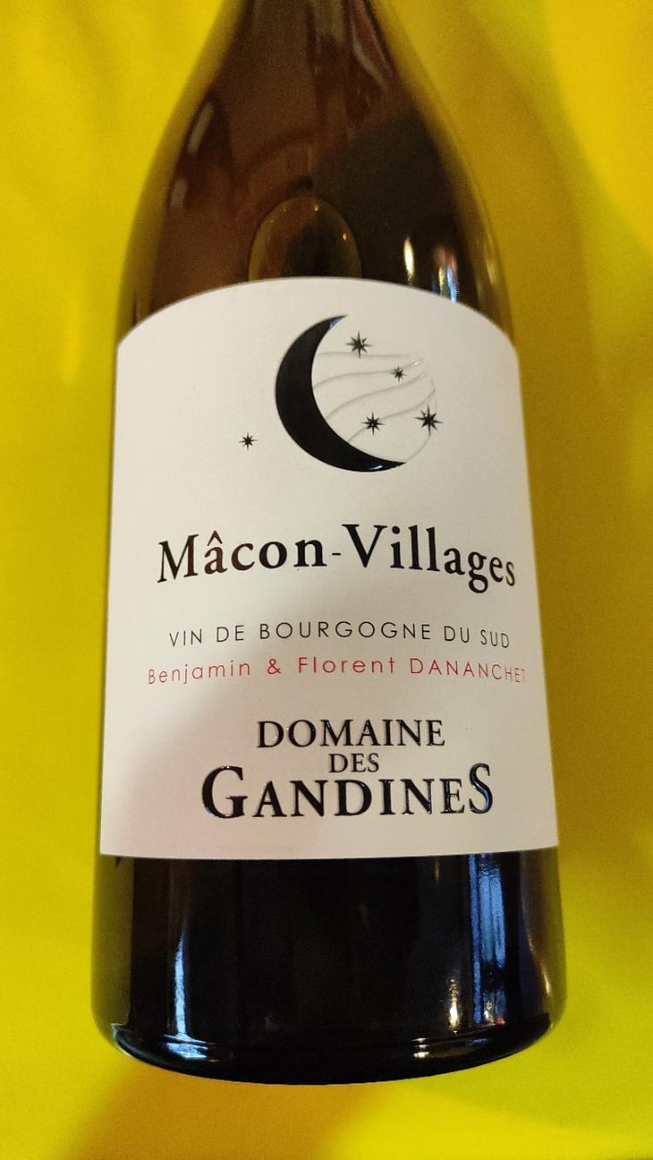 Mâcon Villages - Domaine des Gandines - Benjamin et Florent Dananchet 