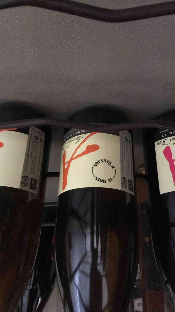 Mademoiselle M - Domaine Alexandre Bain - Alexandre Bain 