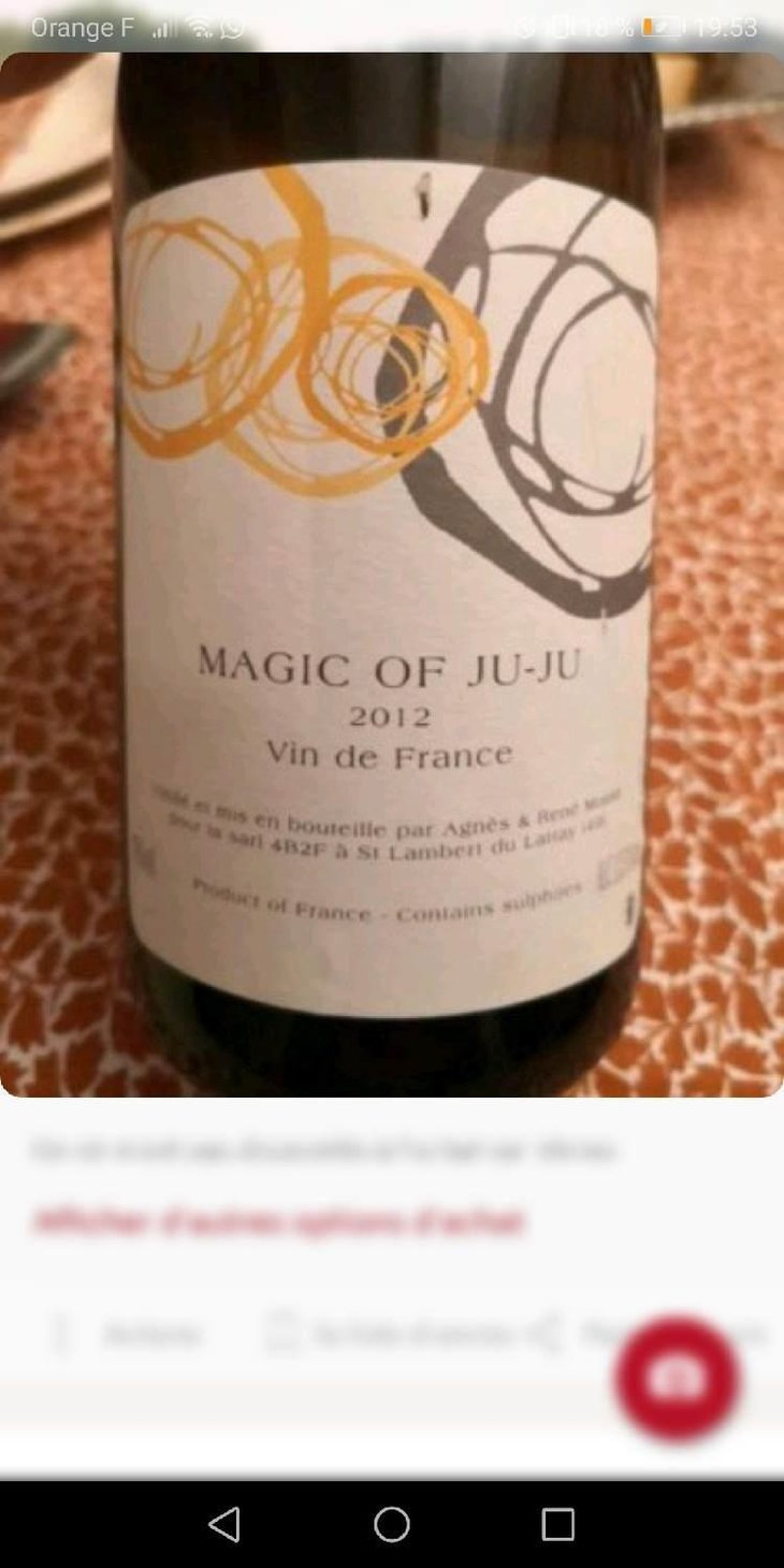 Magic of Ju-Ju - Domaine Mosse - Sylvestre & Joseph Mosse 