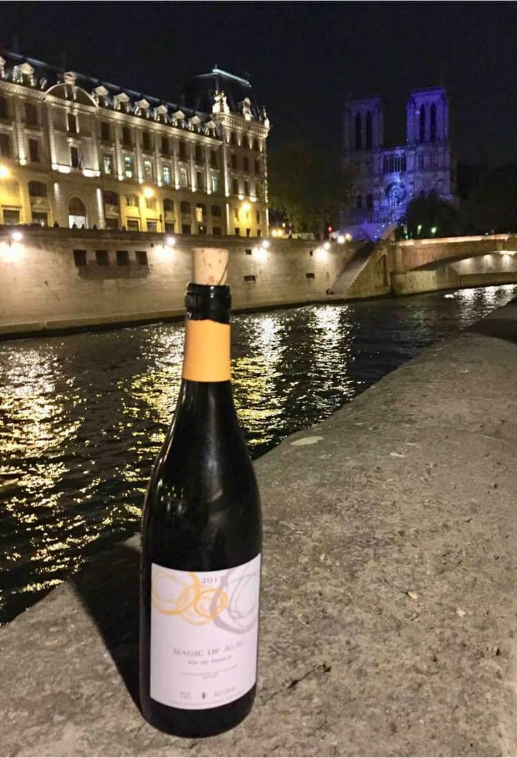 Magic of Ju-Ju - Domaine Mosse - Sylvestre & Joseph Mosse 