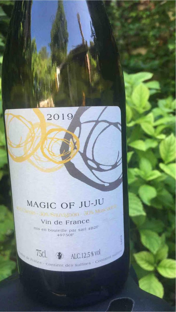 Magic of Ju-Ju - Domaine Mosse - Sylvestre & Joseph Mosse 