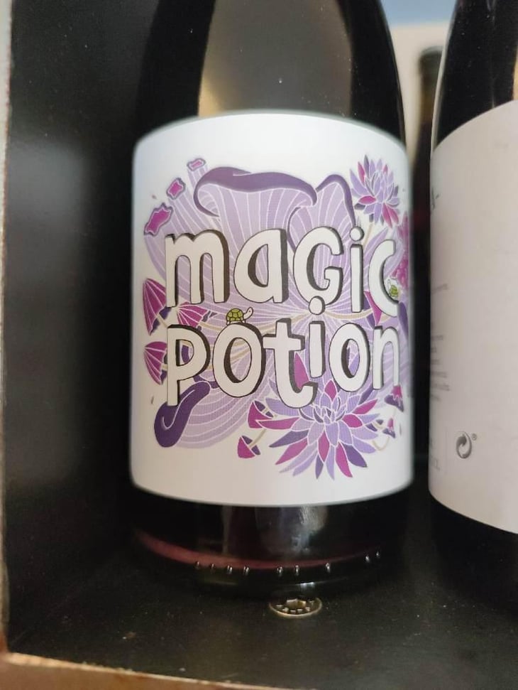 Magic Potion - Vinyes Tortuga - Dido & Jurriaan 