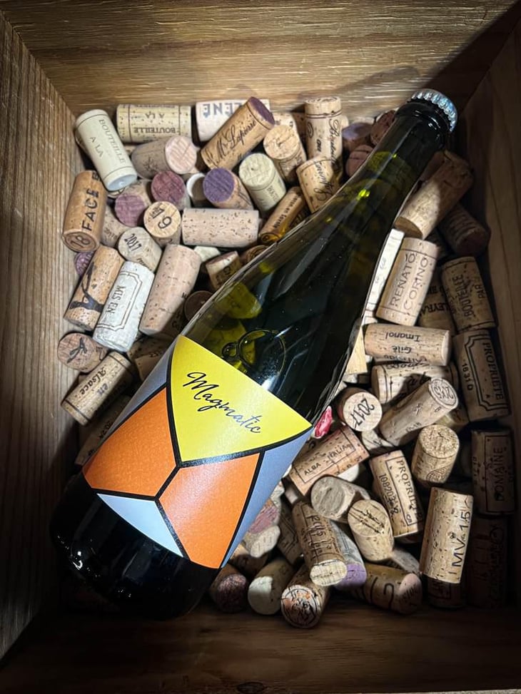 Magmatic - Les Vins De Mont-Val - Sophie Valançant & Jean-Yves Domont -2021