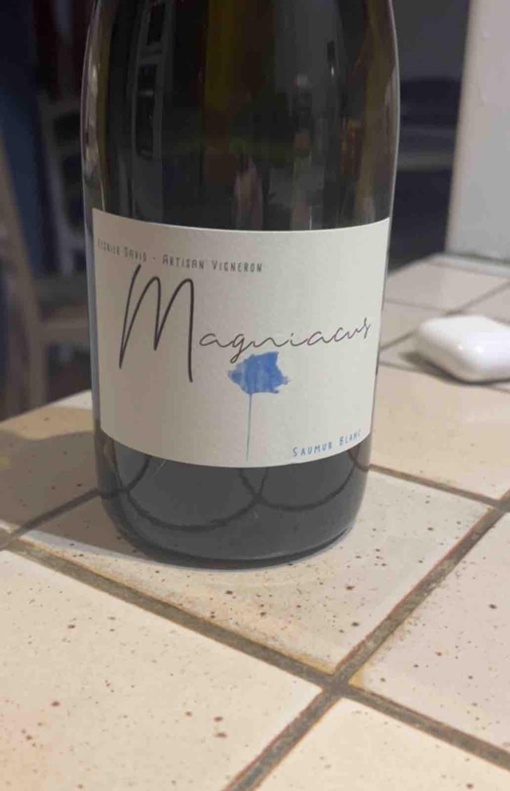 Magniacus Blanc - Domaine Régnier-David - Jean-Francois Régnier 