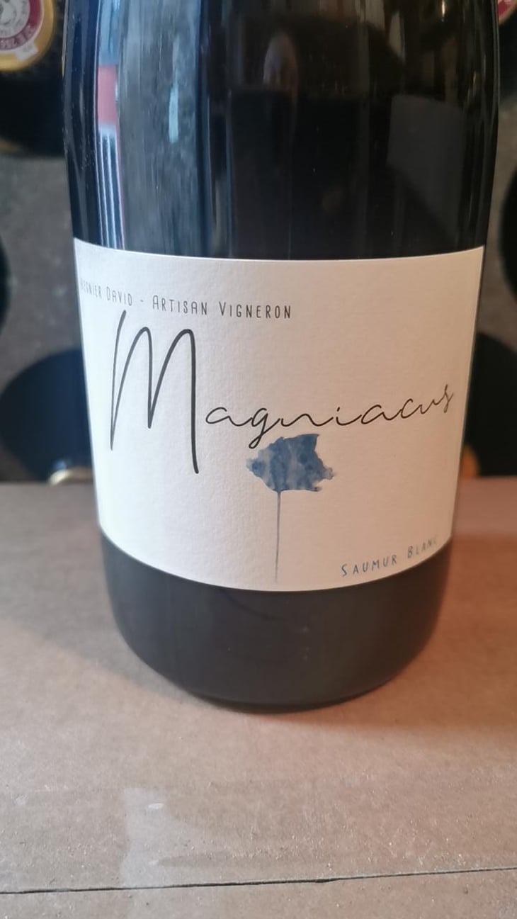 Magniacus Blanc - Domaine Régnier-David - Jean-Francois Régnier 