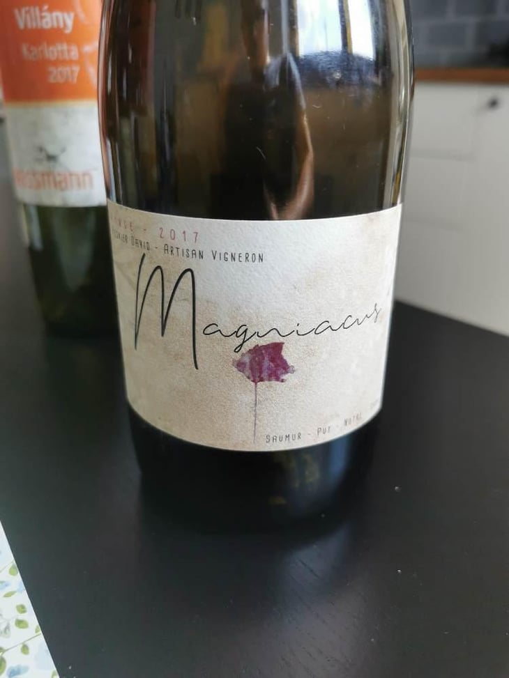 Magniacus Rouge - Domaine Régnier-David - Jean-Francois Régnier 