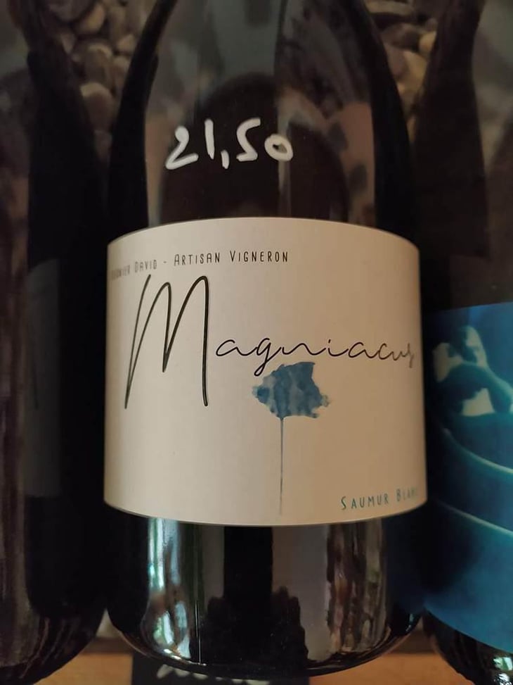 Magniacus Blanc - Domaine Régnier-David - Jean-Francois Régnier 