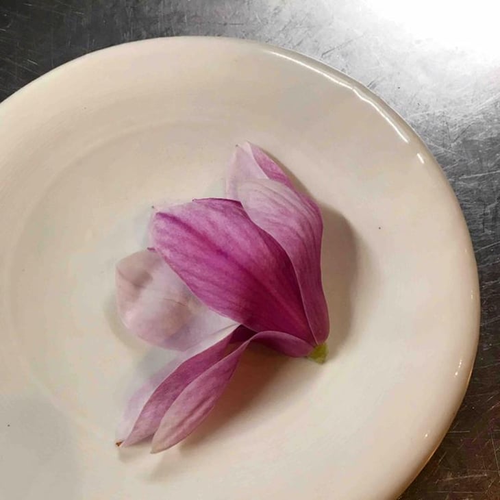 Magnolia - Artemisia Le Bistrot - 601185