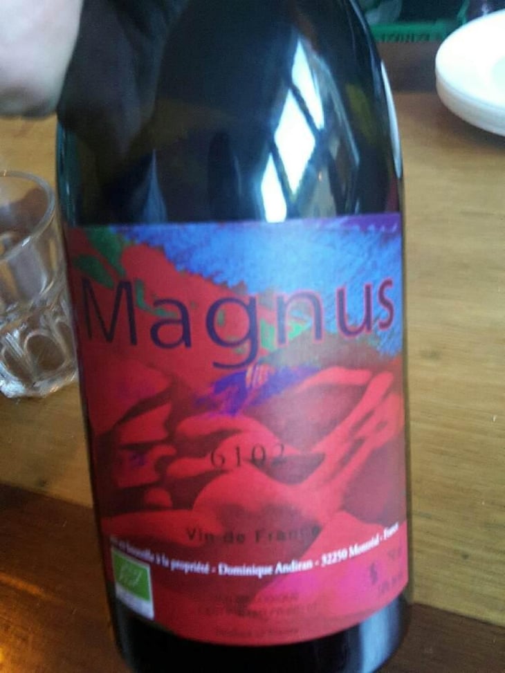Magnus - Haut-Campagnau - Dominique Andiran 