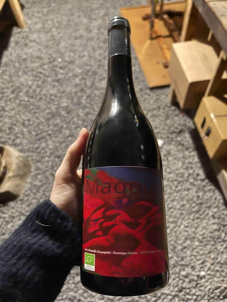 Magnus - Haut-Campagnau - Dominique Andiran 