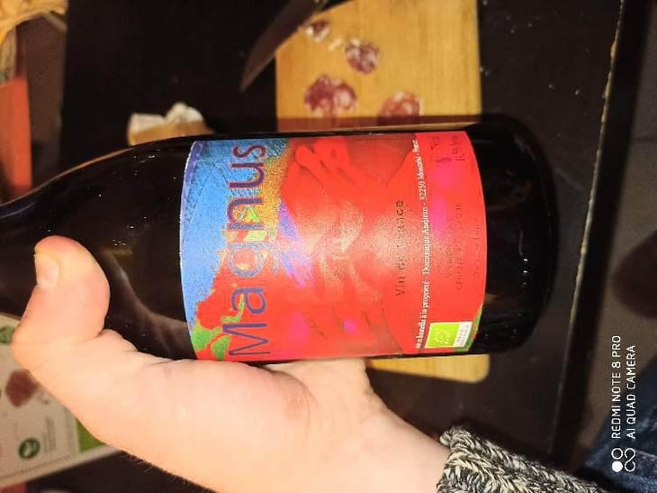 Magnus - Haut-Campagnau - Dominique Andiran 