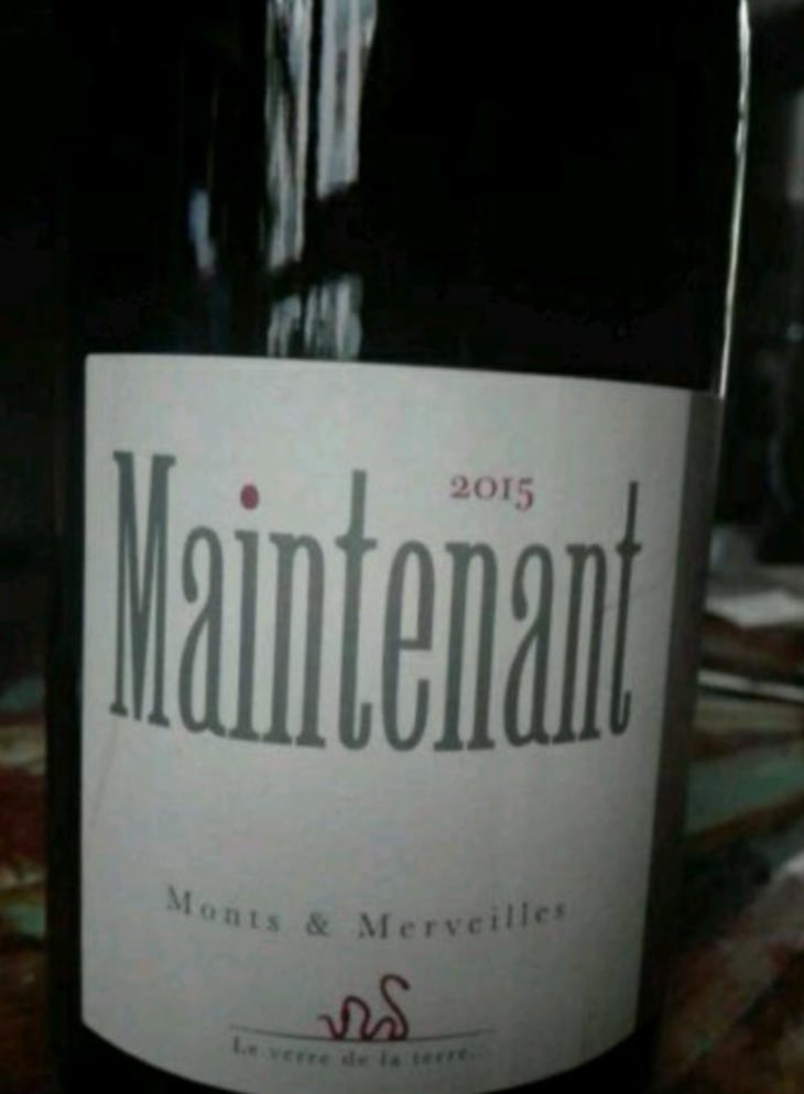 Maintenant - Monts et Merveilles - Laure Boussu & Julien Audard 