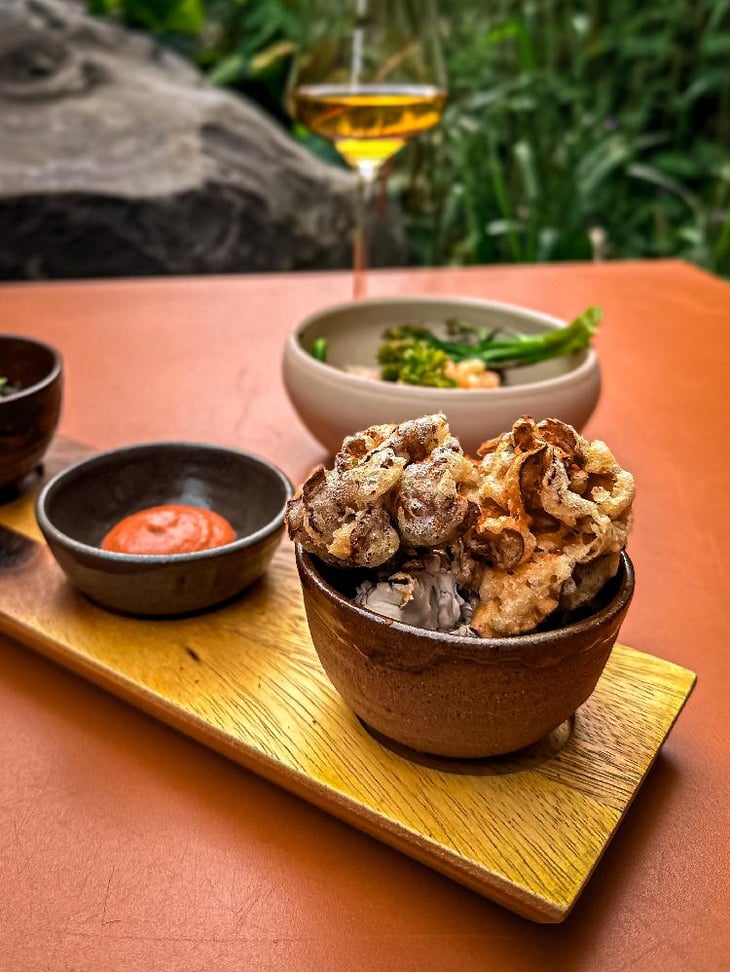 Maitake - LEUCHTENDROTER - 627887