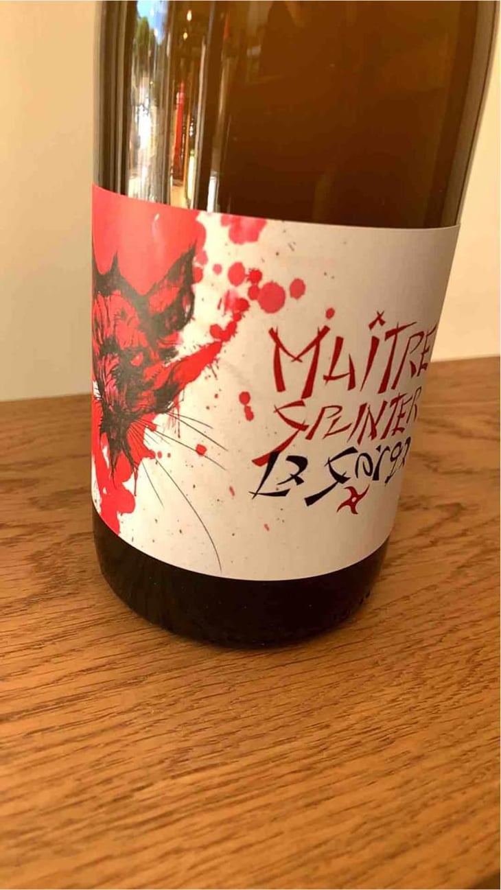 Maître Splinter - La Sorga - Antony Tortul 