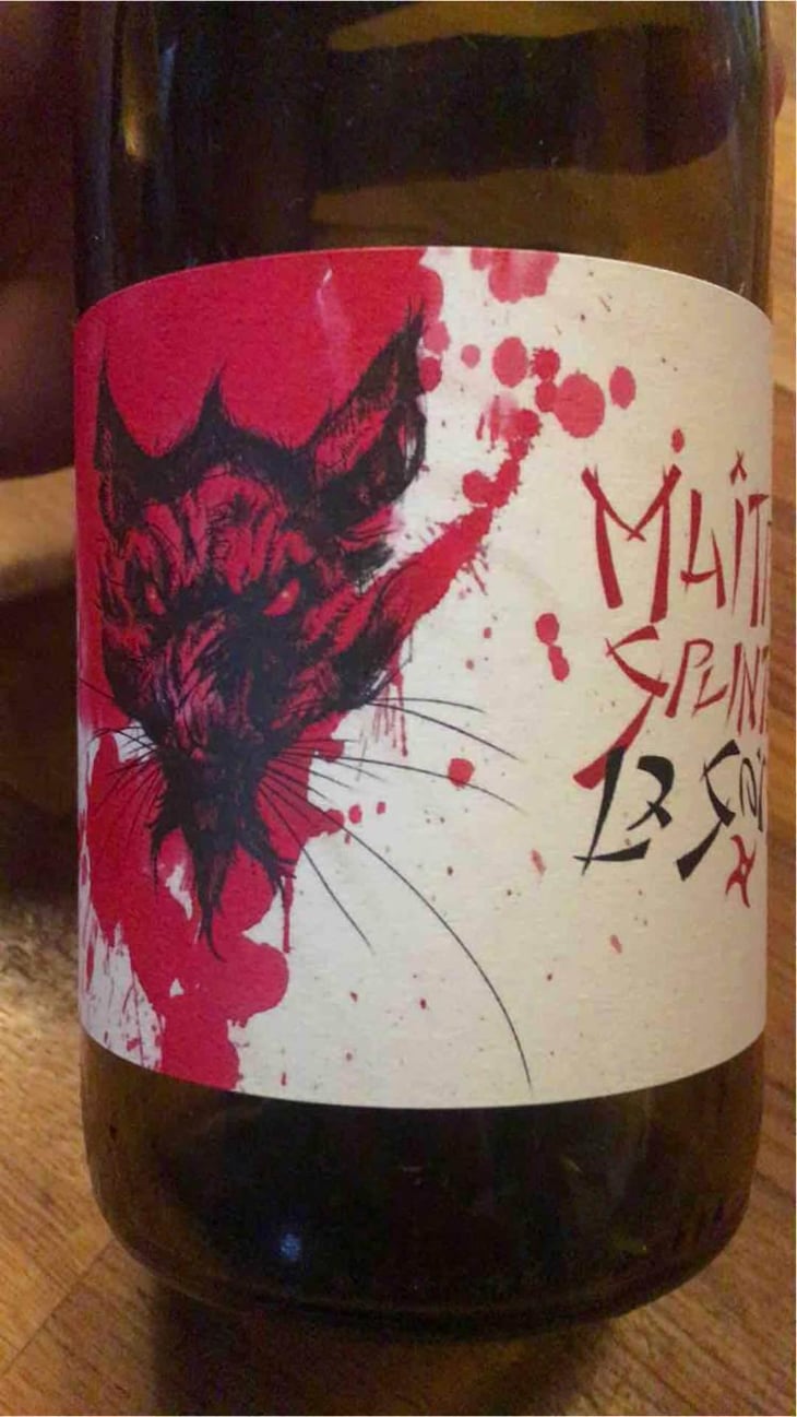 Maître Splinter - La Sorga - Antony Tortul 