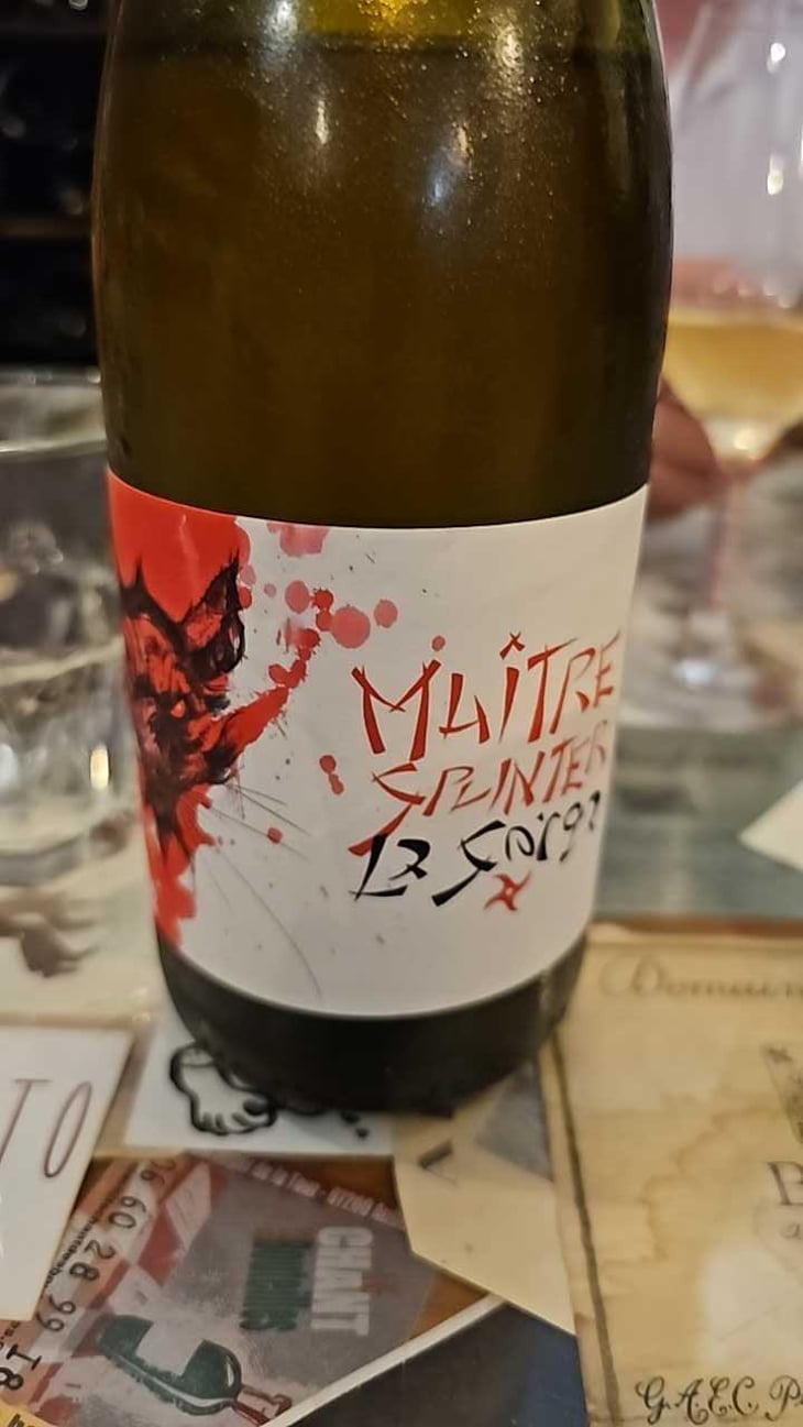 Maître Splinter - La Sorga - Antony Tortul 