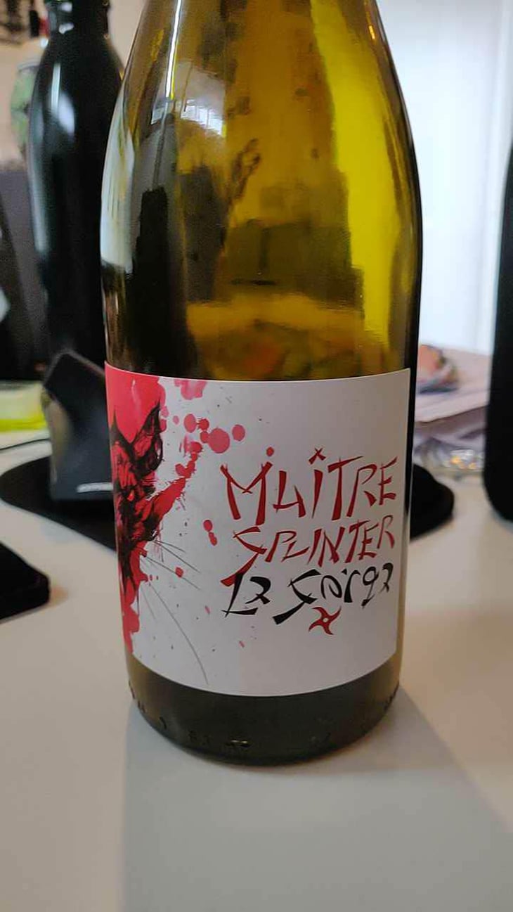 Maître Splinter - La Sorga - Antony Tortul 