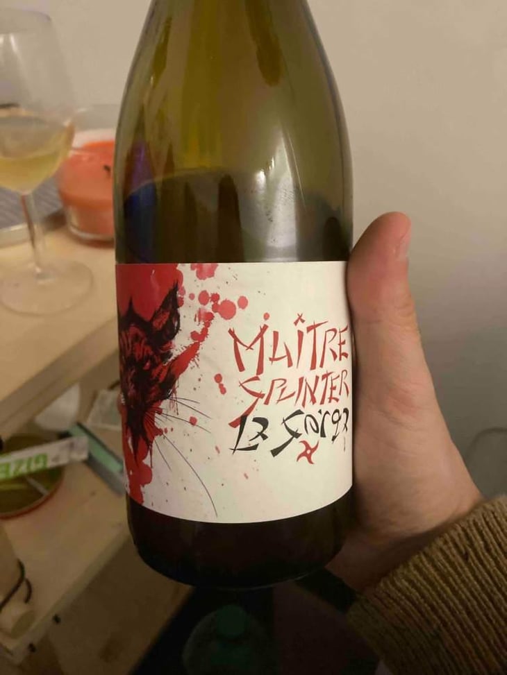 Maître Splinter - La Sorga - Antony Tortul 