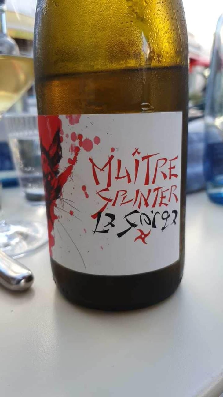 Maître Splinter - La Sorga - Antony Tortul 
