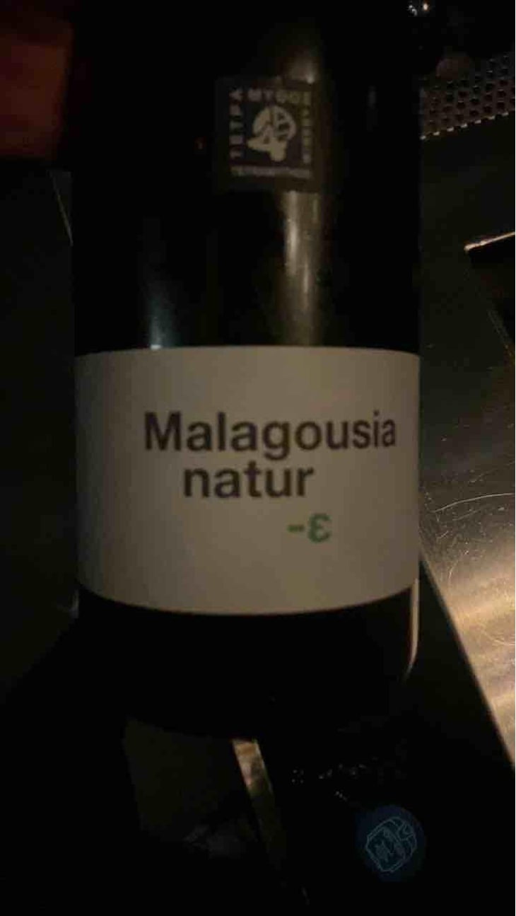 Malagousia - Tetramythos Winery - Τετράμυθος - Panos Papayiannopoulos, Aristos Spanos, Eustatius Spanos 