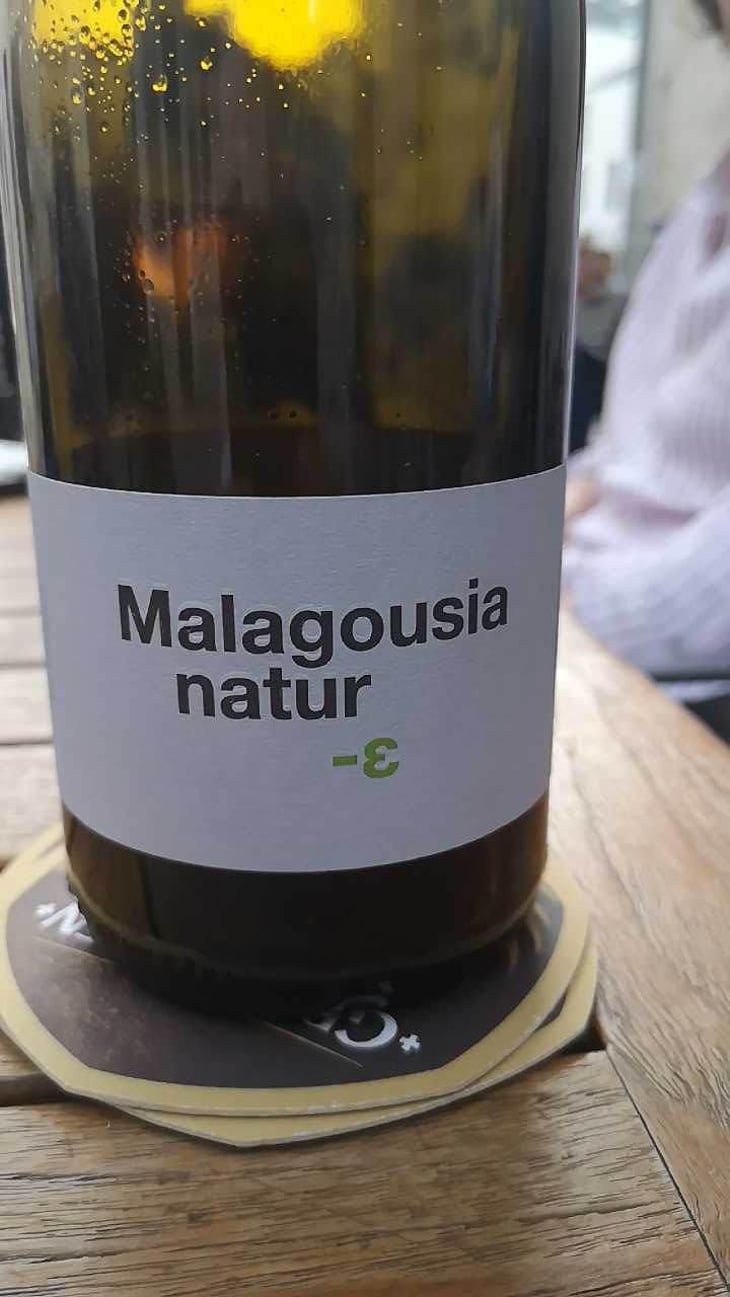 Malagousia - Tetramythos Winery - Τετράμυθος - Panos Papayiannopoulos, Aristos Spanos, Eustatius Spanos 