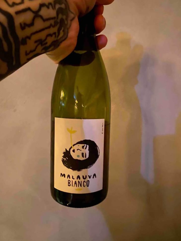 Malauva Bianco - Malauva Casa Agricola - Elisa Cortese, Giovanni Adua 
