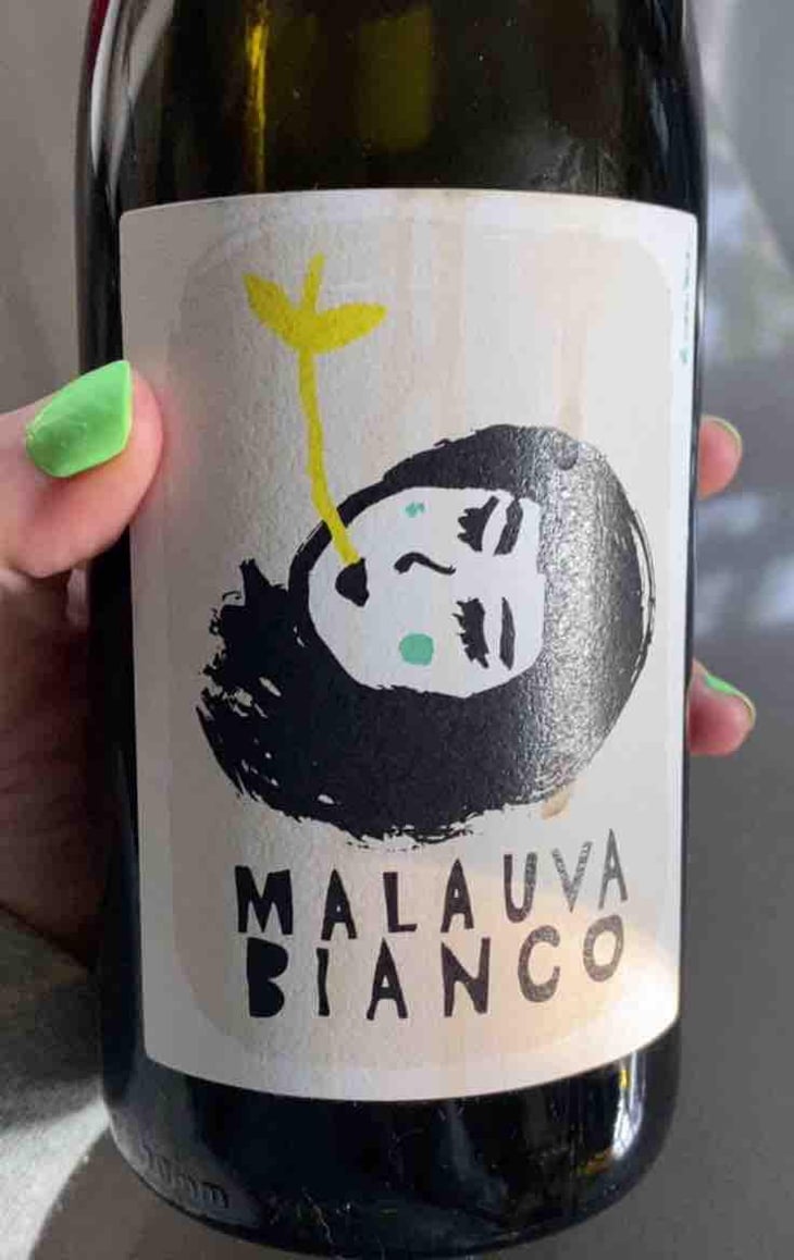 Malauva Bianco - Malauva Casa Agricola - Elisa Cortese, Giovanni Adua 