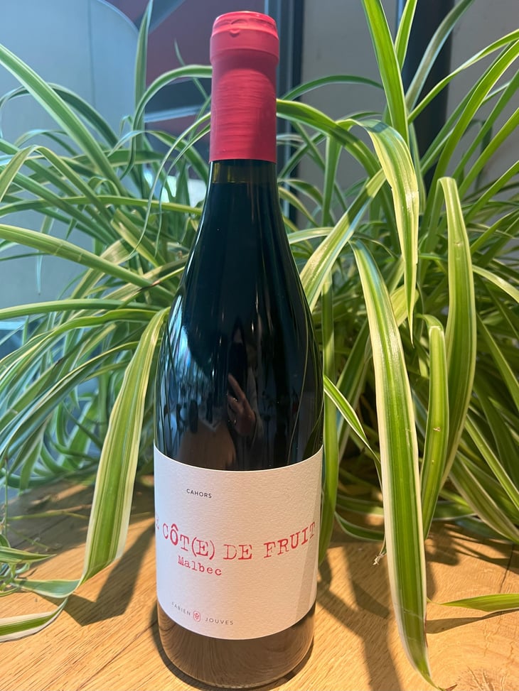 Haute Côt(e) De Fruit - Malbec - Mas del Périé - Fabien Jouves 
