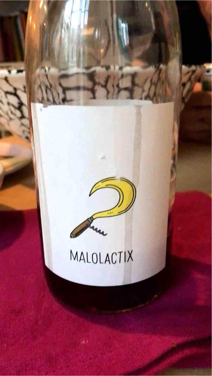 Malolactix - Le Sot de l'Ange - Angélique & Quentin Bourse 