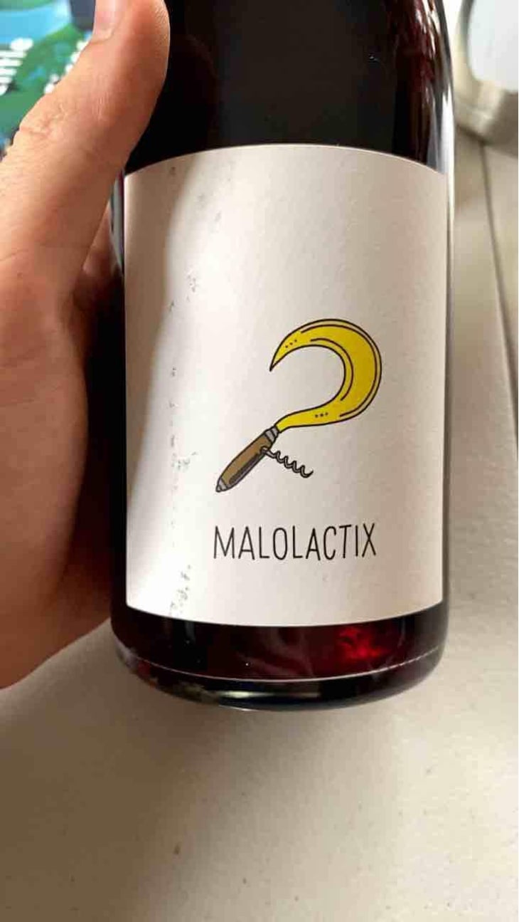 Malolactix - Le Sot de l'Ange - Angélique & Quentin Bourse 