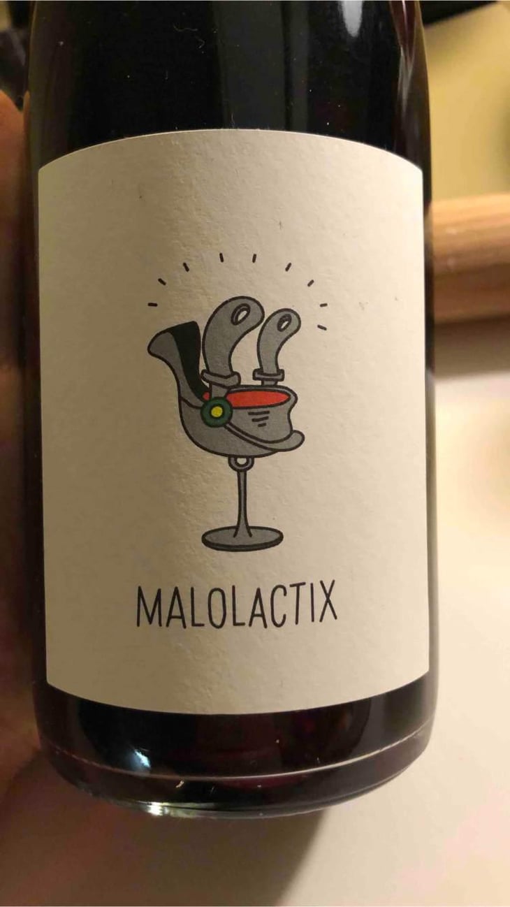 Malolactix - Le Sot de l'Ange - Angélique & Quentin Bourse 