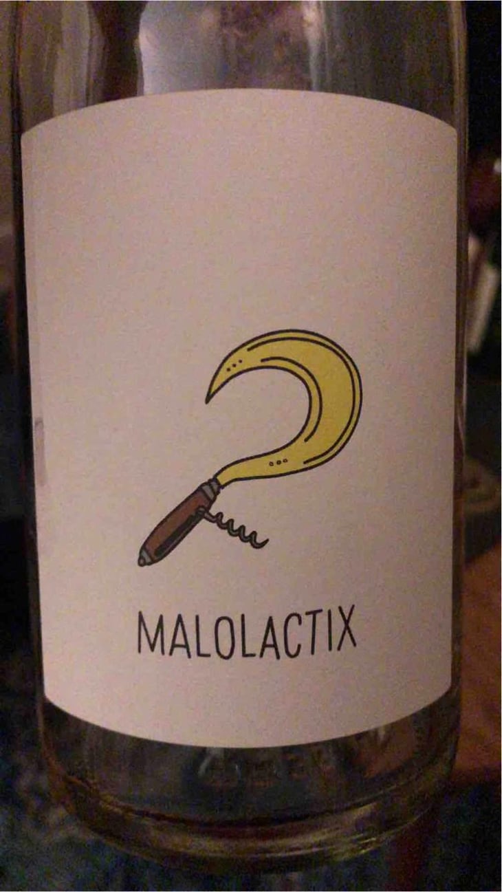 Malolactix - Le Sot de l'Ange - Angélique & Quentin Bourse 