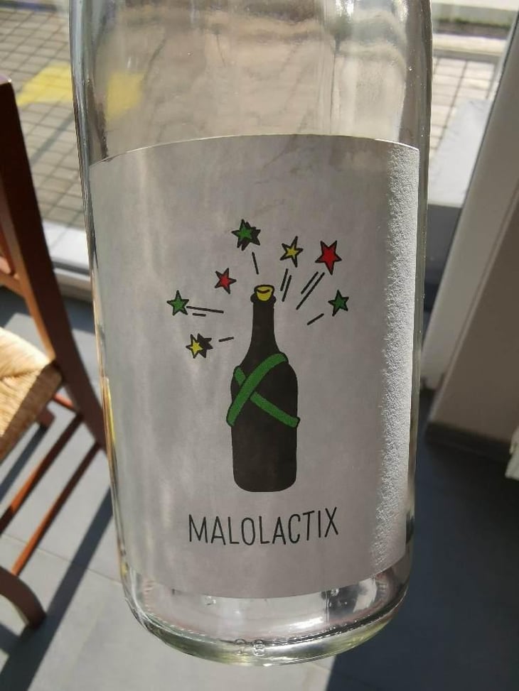 Malolactix - Le Sot de l'Ange - Angélique & Quentin Bourse 