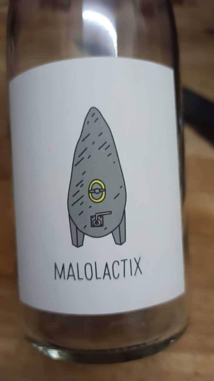 Malolactix - Le Sot de l'Ange - Angélique & Quentin Bourse 