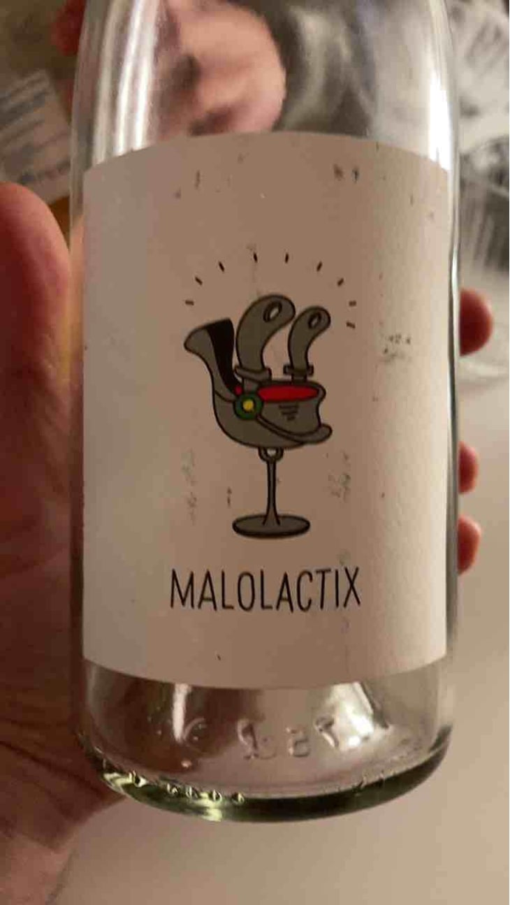 Malolactix - Le Sot de l'Ange - Angélique & Quentin Bourse 