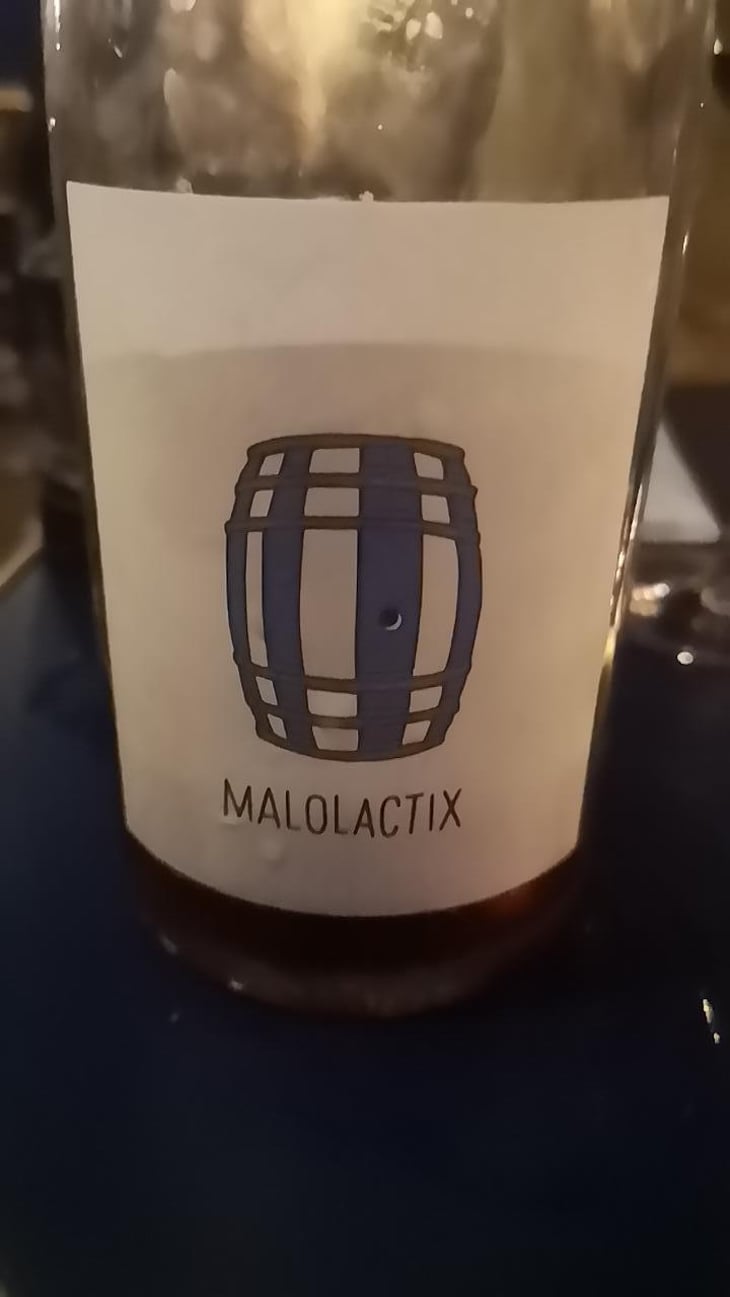 Malolactix - Le Sot de l'Ange - Angélique & Quentin Bourse 
